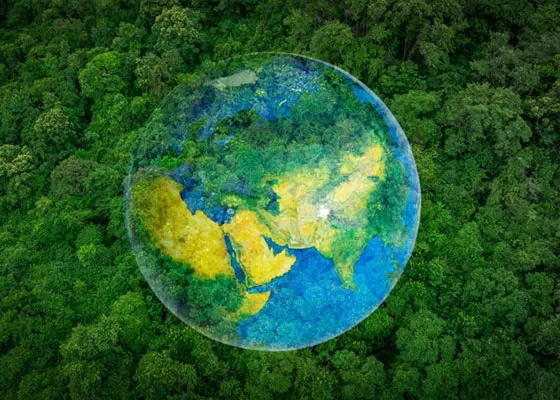 Globale Reichweite: